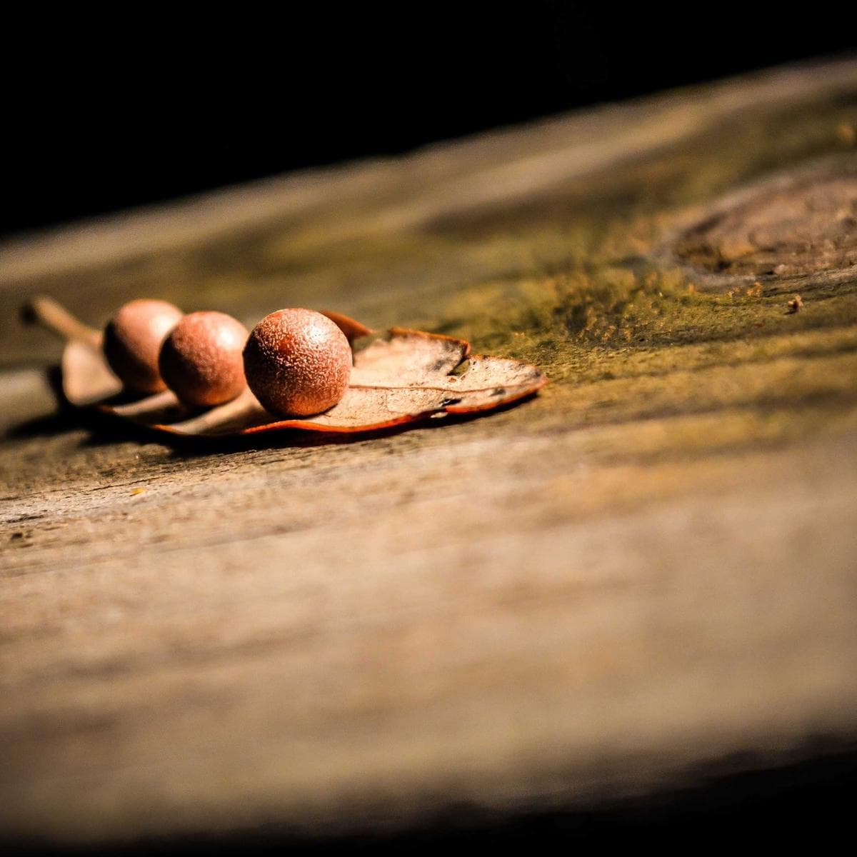 Anker Powerbank 20000 mAh