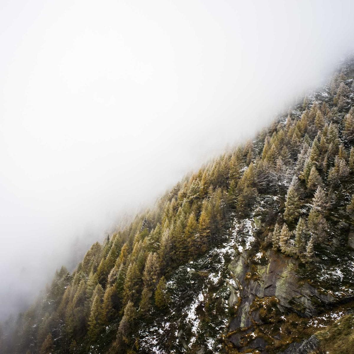 Anker Powerbank 20000 mAh