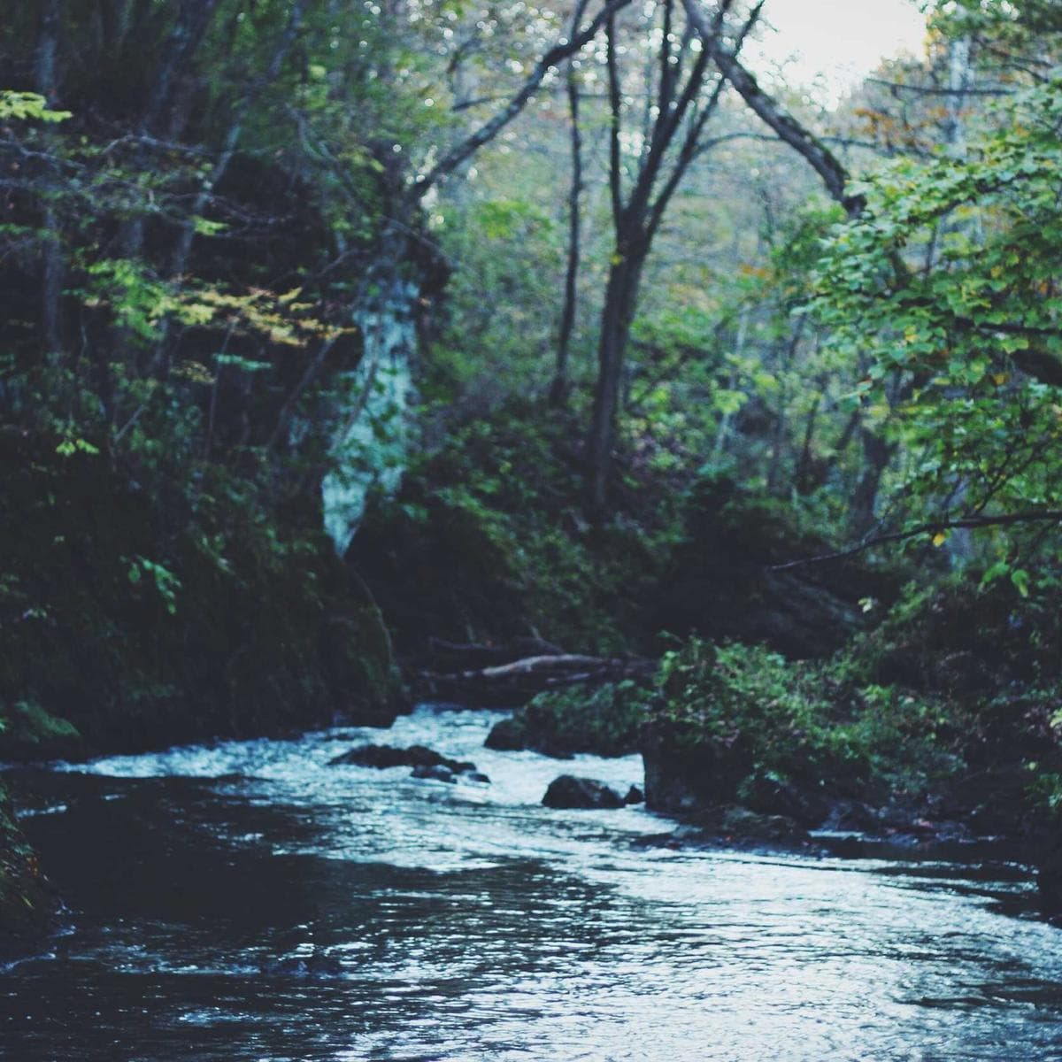 Anker Powerbank 20000 mAh — 2