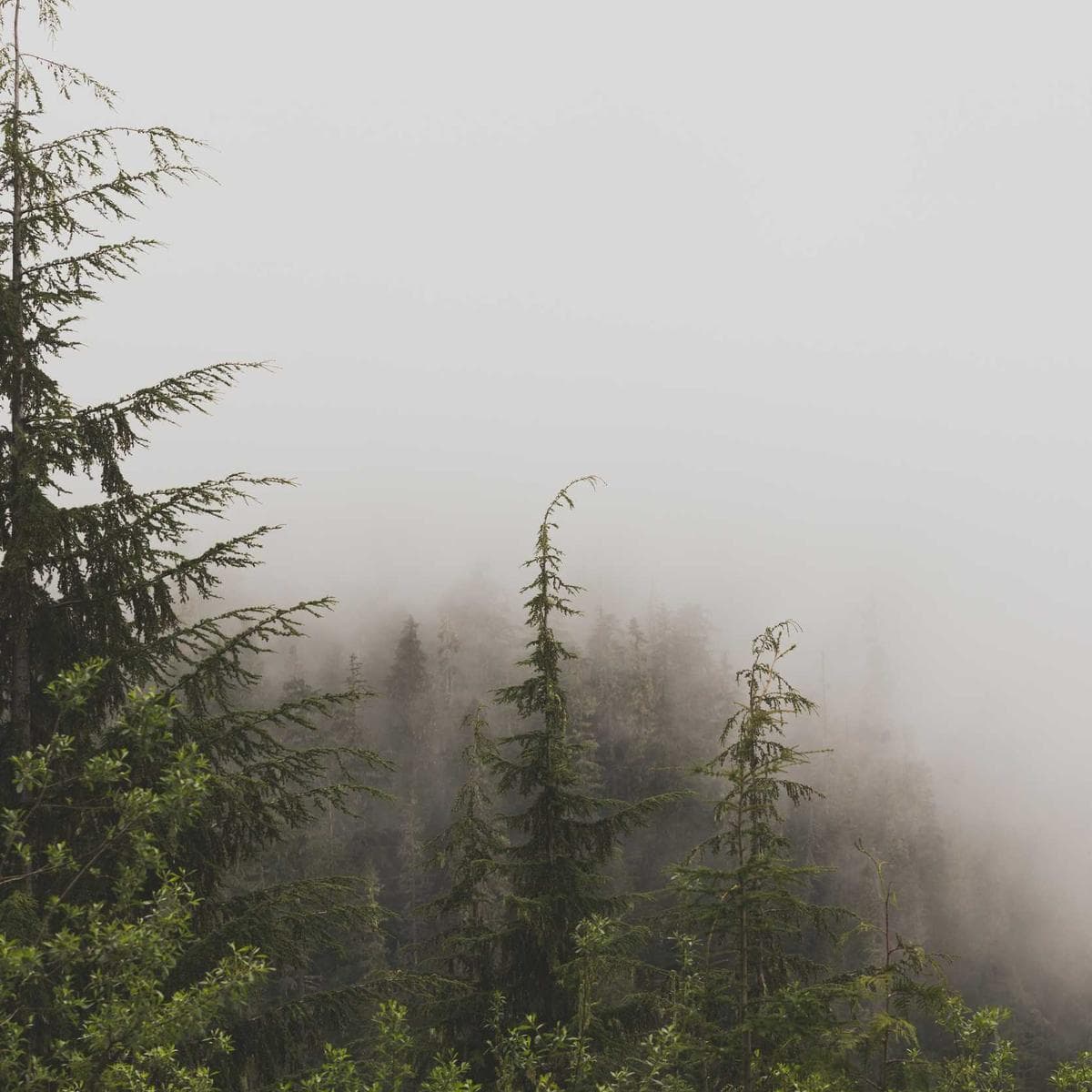 Apple iPhone 15 — 3