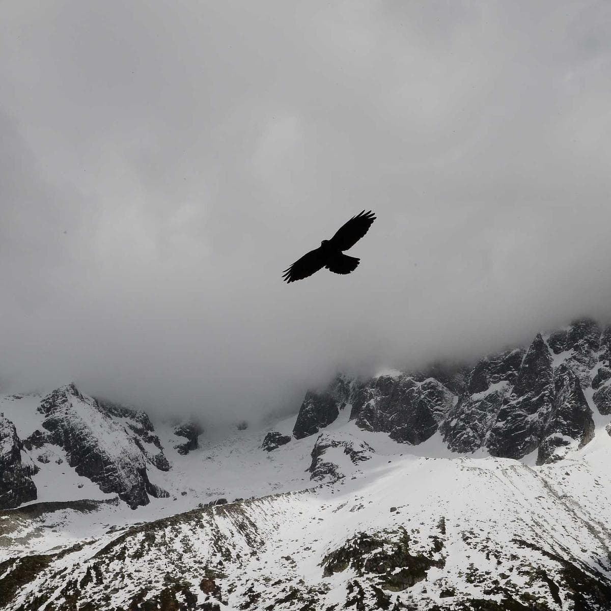 ASUS Vivobook 16 — 3