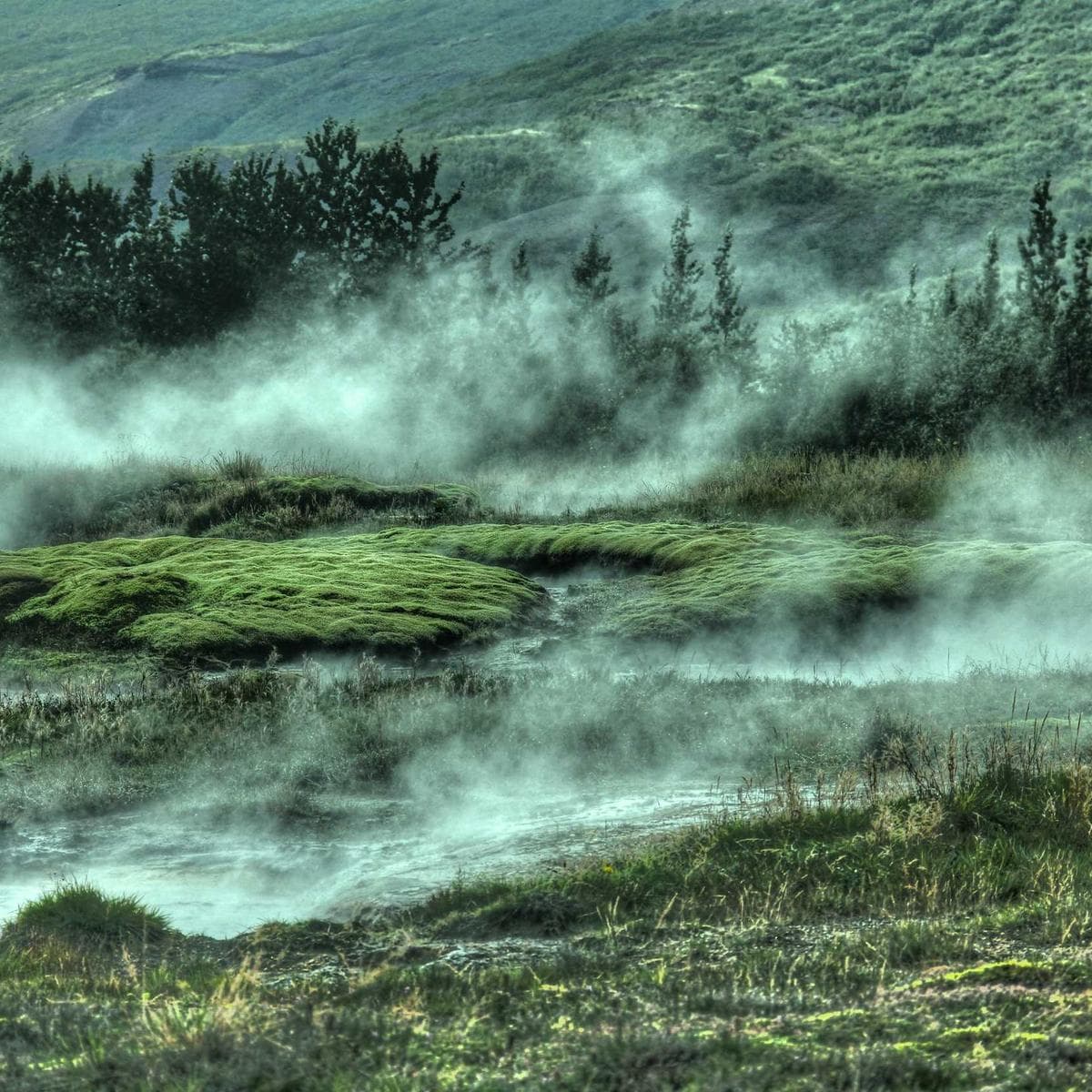 ASUS Vivobook 16 — 2