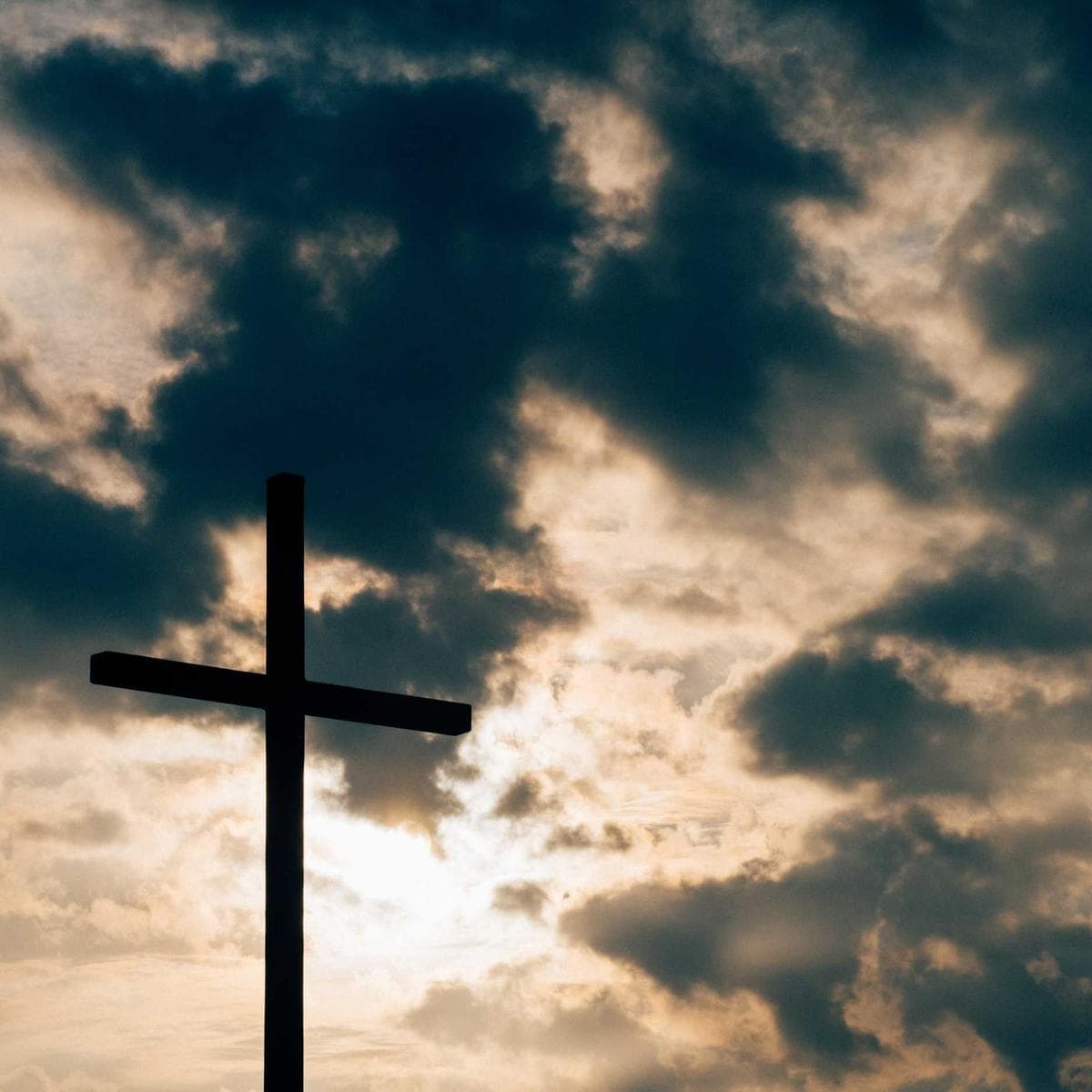 Bosch Aspirador escoba Unlimited 7