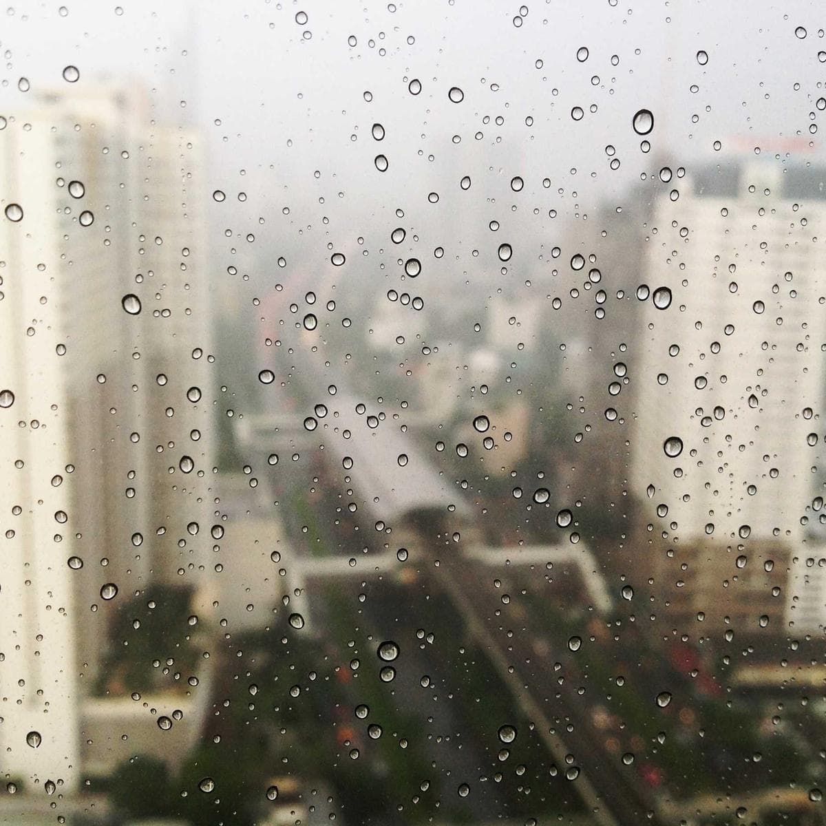 Bosch Aspirador escoba Unlimited 7 — 3