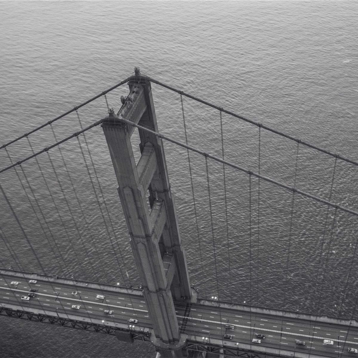 Bosch Aspirador escoba Unlimited 7