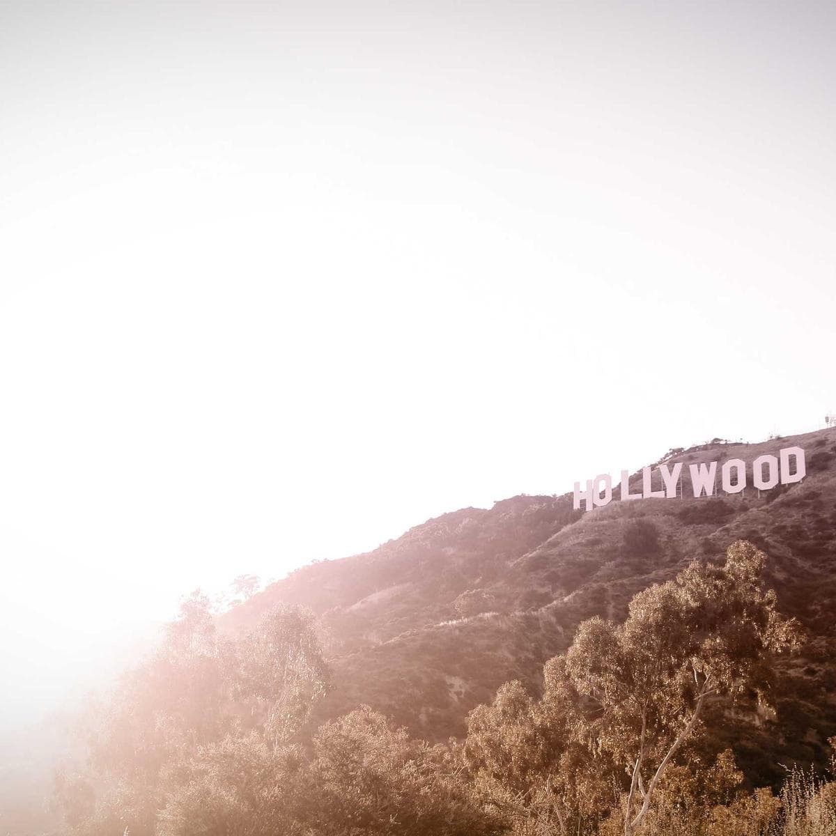 Bosch Aspirador escoba Unlimited 7 — 3