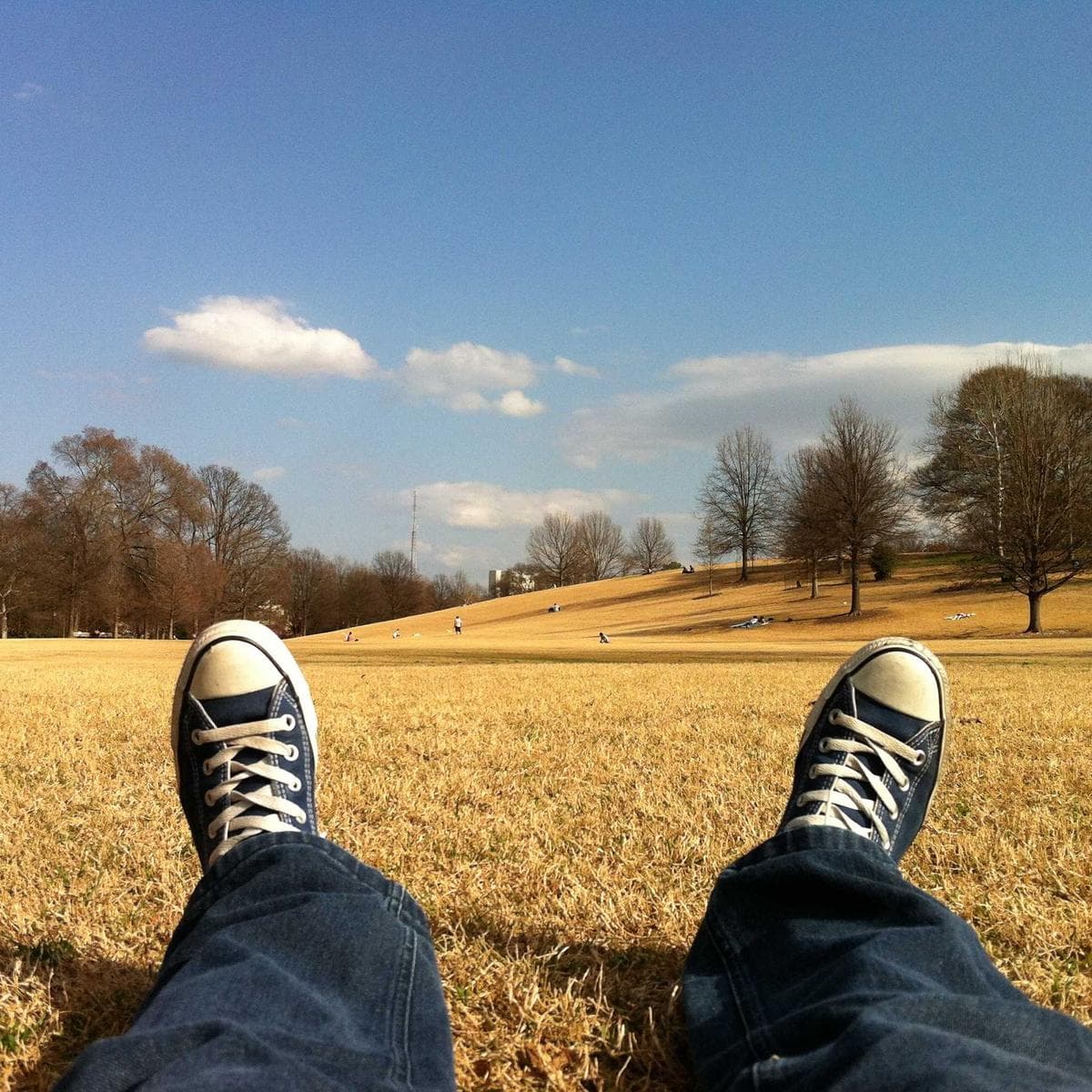 Google Nest Hub 2nd Gen — 2