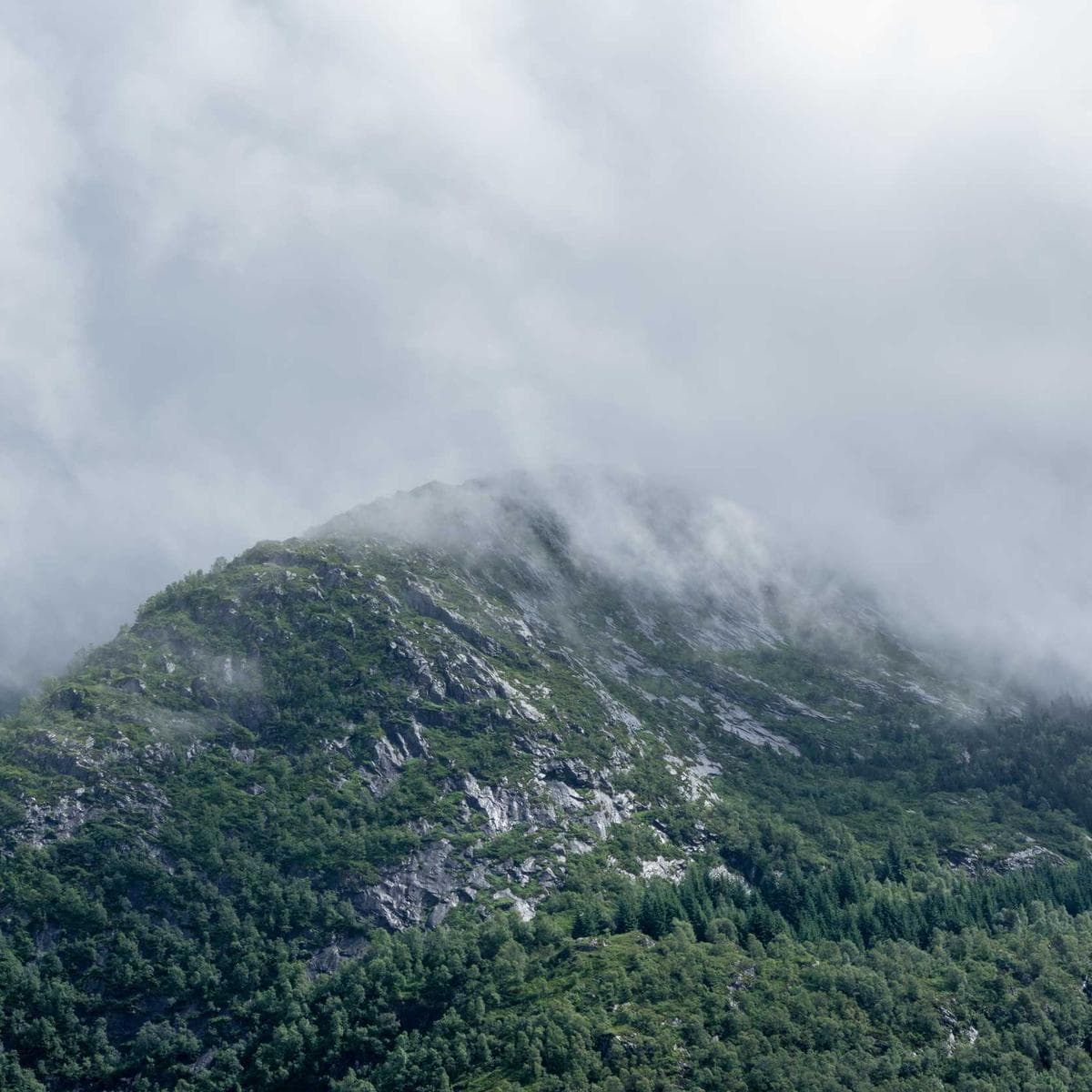 Google Nest Hub 2nd Gen — 3