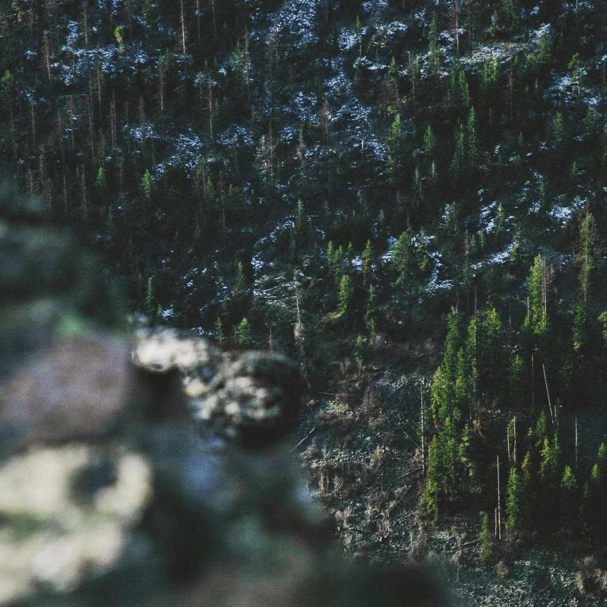 JBL Auriculares Tune 720BT