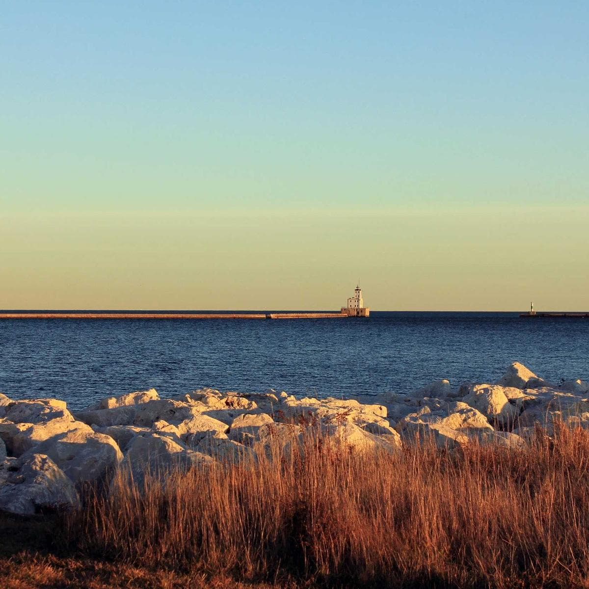 JBL Auriculares Tune 720BT