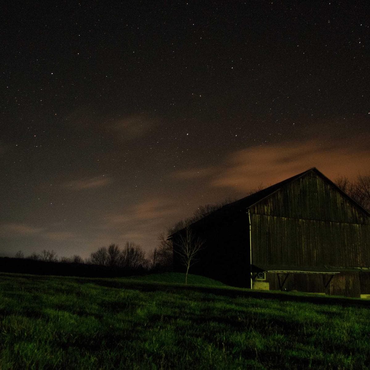 JBL Auriculares Tune 720BT — 2