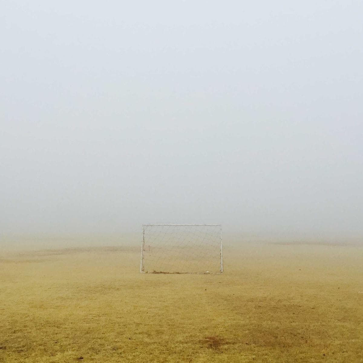 JBL Auriculares Tune 720BT