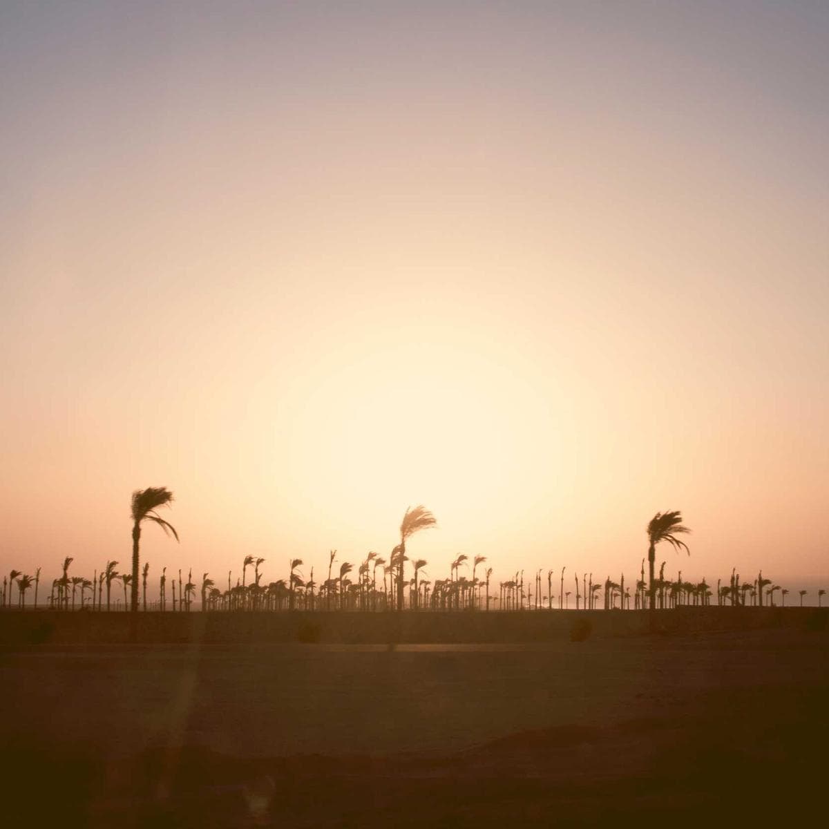 JBL Auriculares Tune 720BT