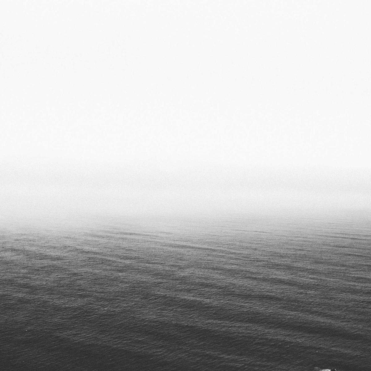 JBL Auriculares Tune 720BT