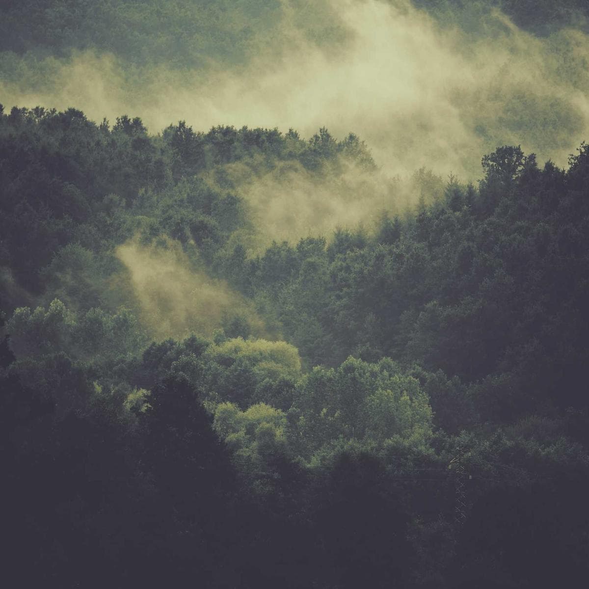 LG Smart TV UHD — 3