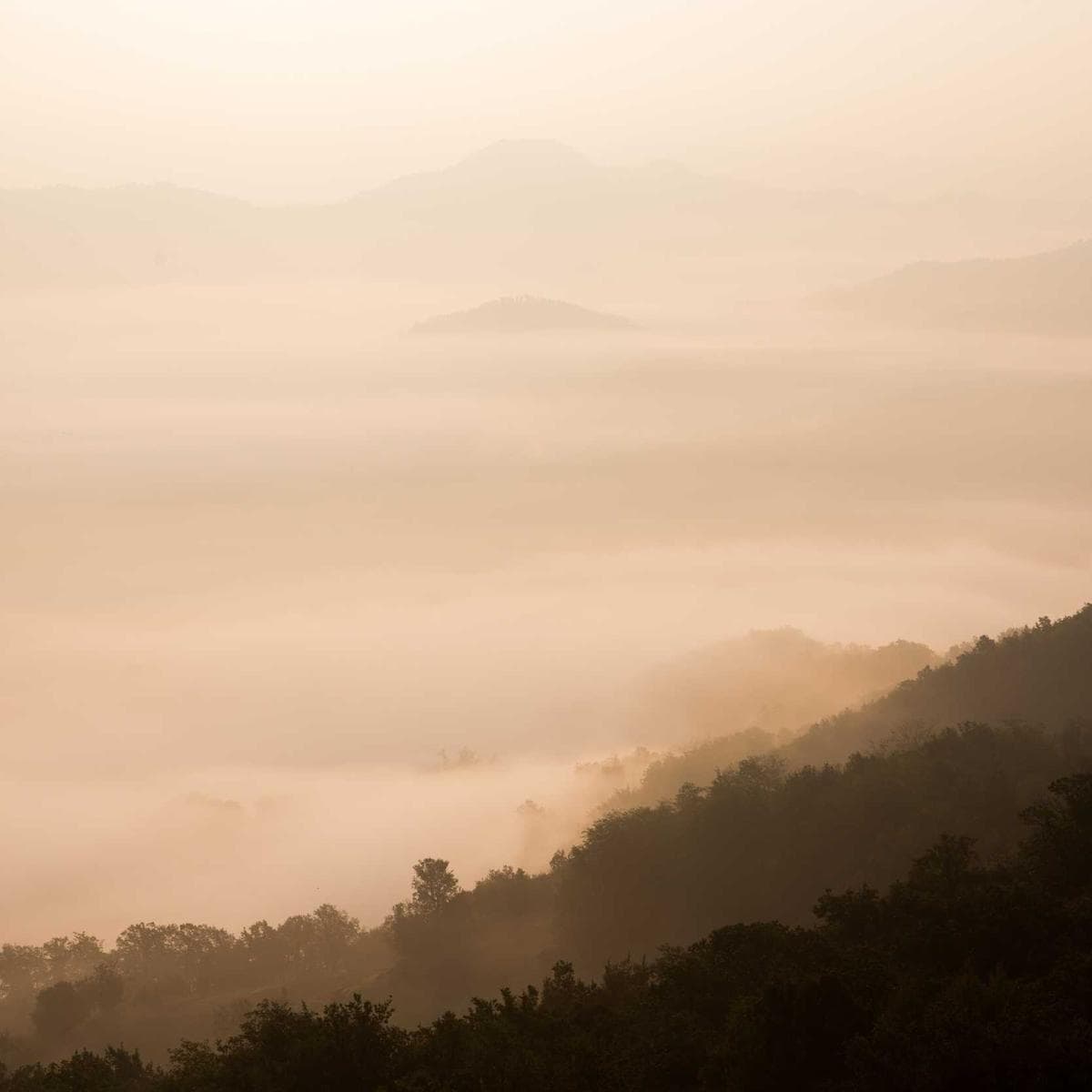 Logitech Teclado mecánico G Pro — 3
