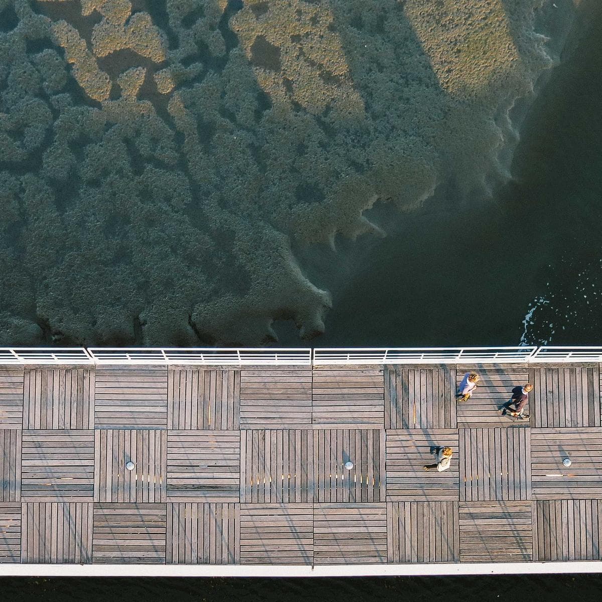 Logitech Teclado mecánico G Pro