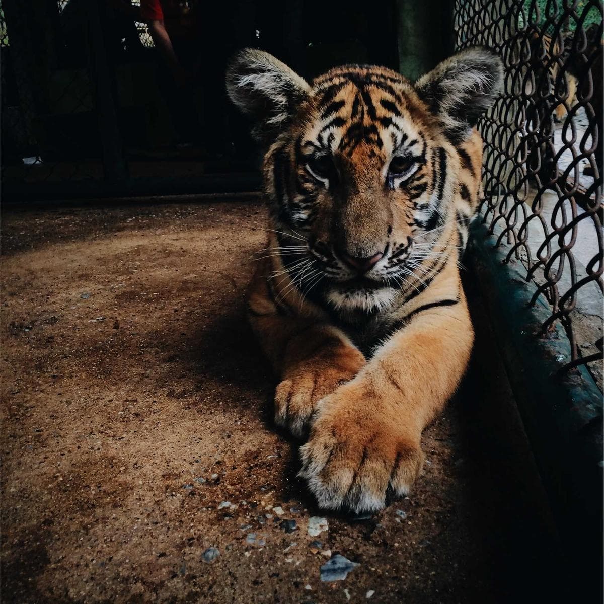 Logitech Teclado mecánico G Pro — 2