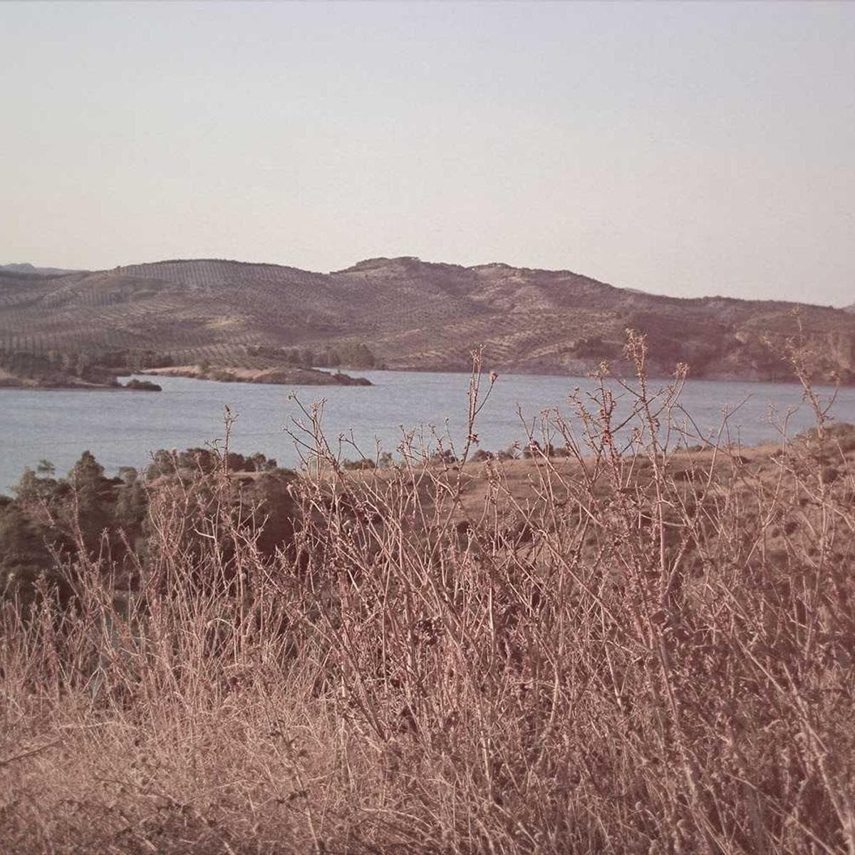 Microsoft Xbox Series X