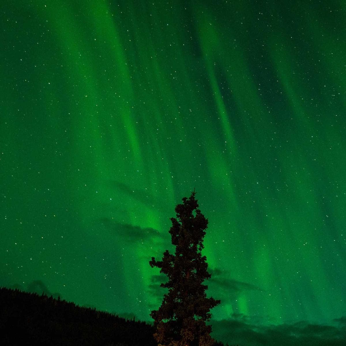 Microsoft Xbox Series X — 2