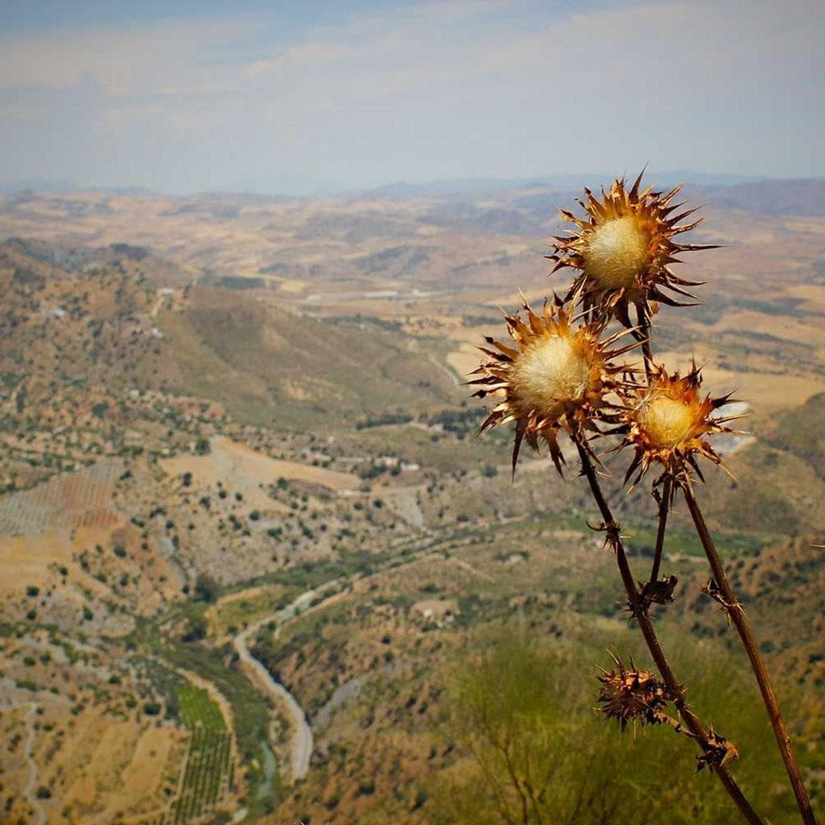 Microsoft Xbox Series X — 3