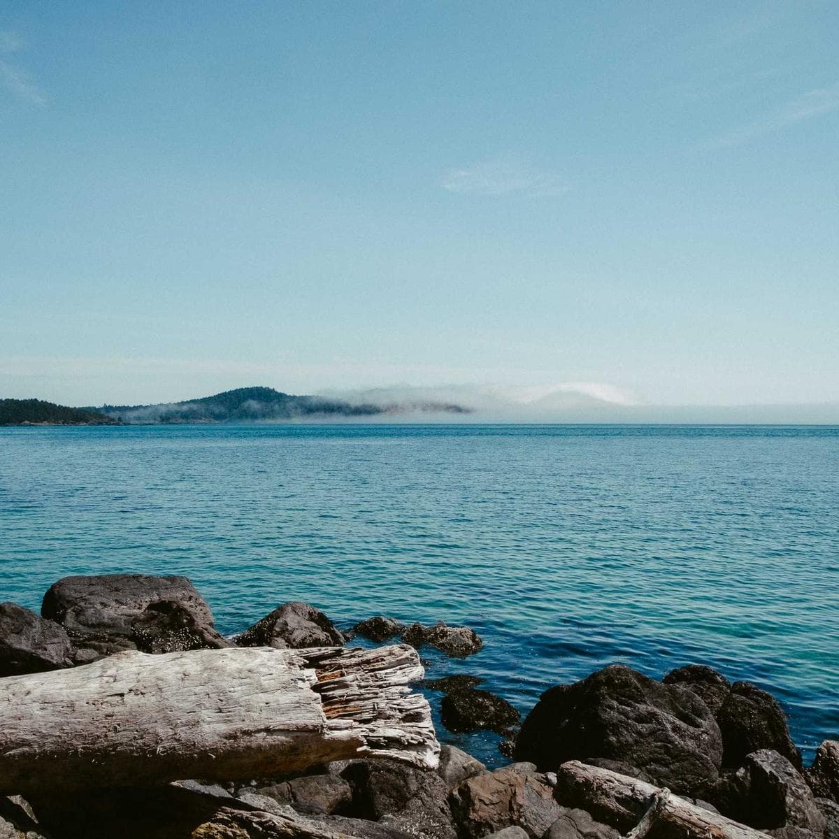 Microsoft Xbox Series X