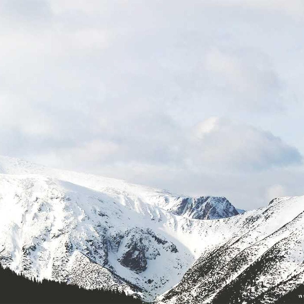 Philips Freidora de aire Essential XL — 2