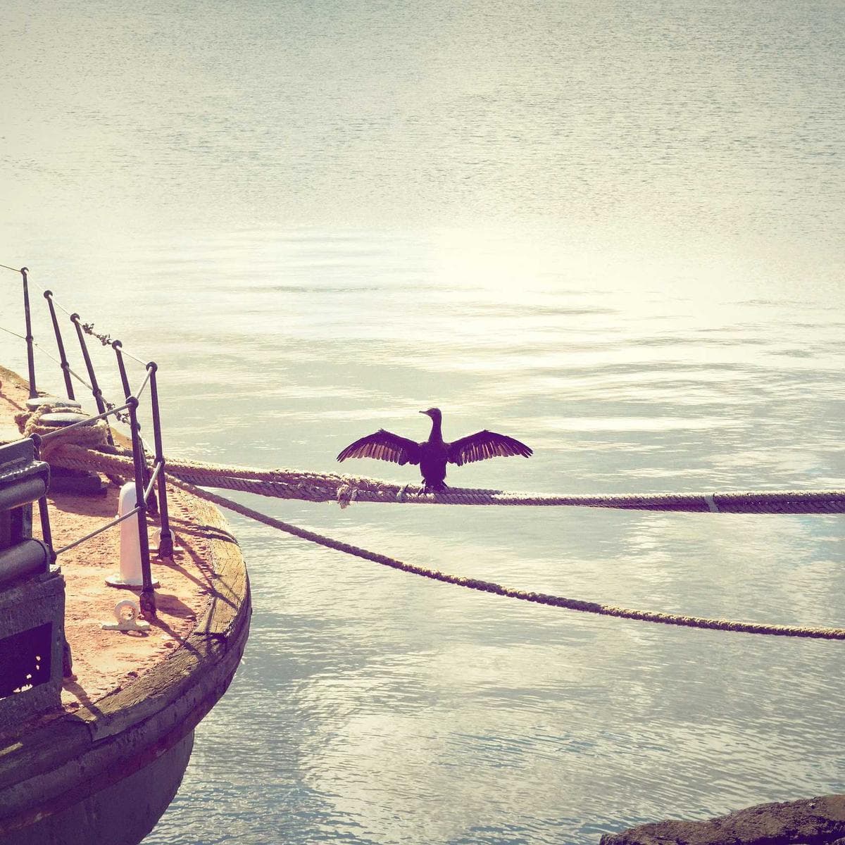 Philips Freidora de aire Essential XL — 2