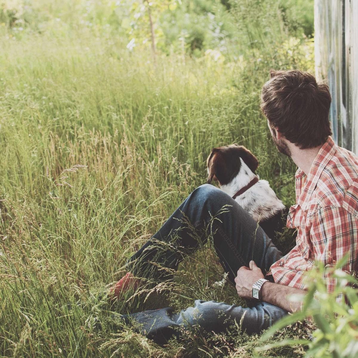 Philips Freidora de aire Essential XL