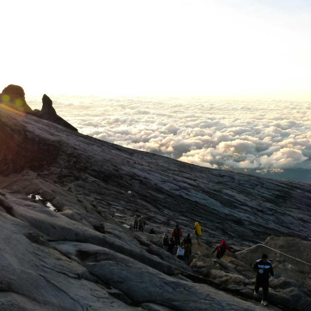 Philips Freidora de aire Essential XL