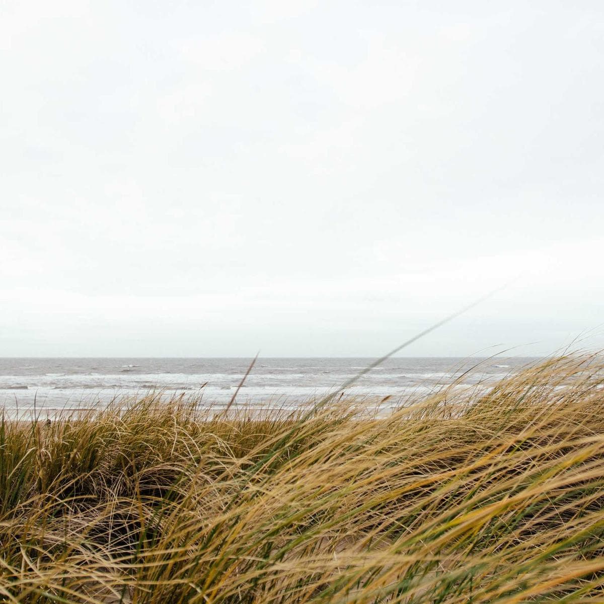 Philips Freidora de aire Essential XL — 2