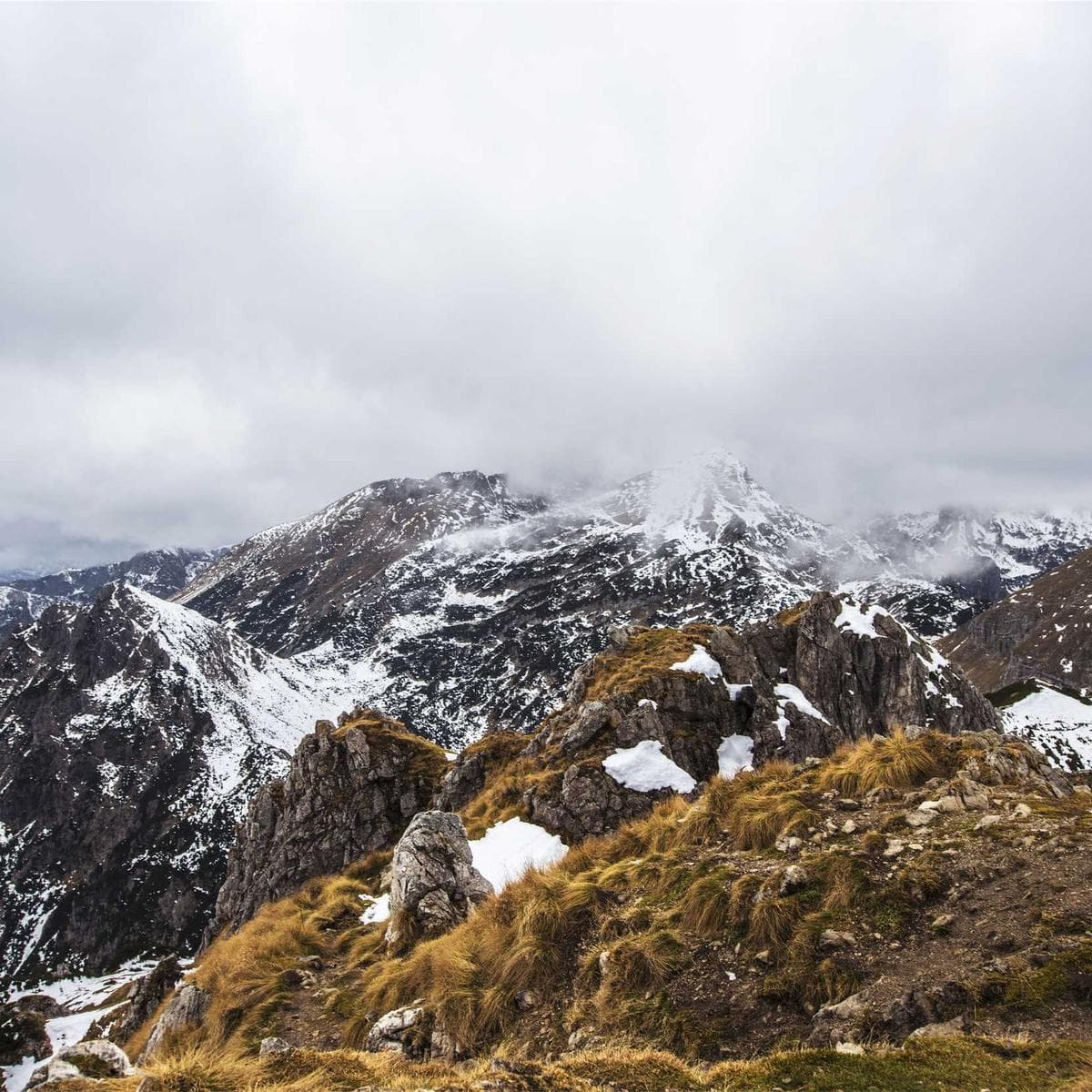 Philips Freidora de aire Essential XL — 3