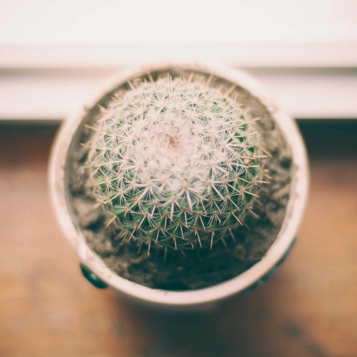 Philips Freidora de aire Essential XL — 2