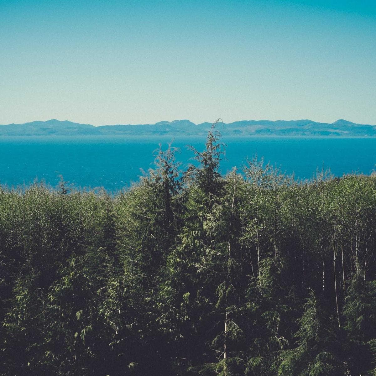 Samsung Galaxy A55 5G — 3