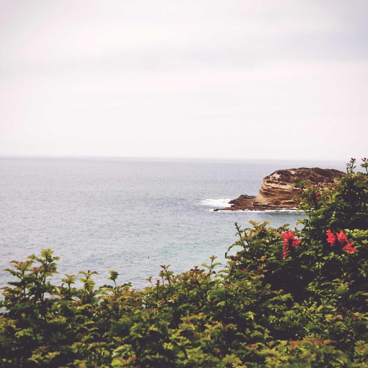 Samsung Galaxy A55 5G — 2