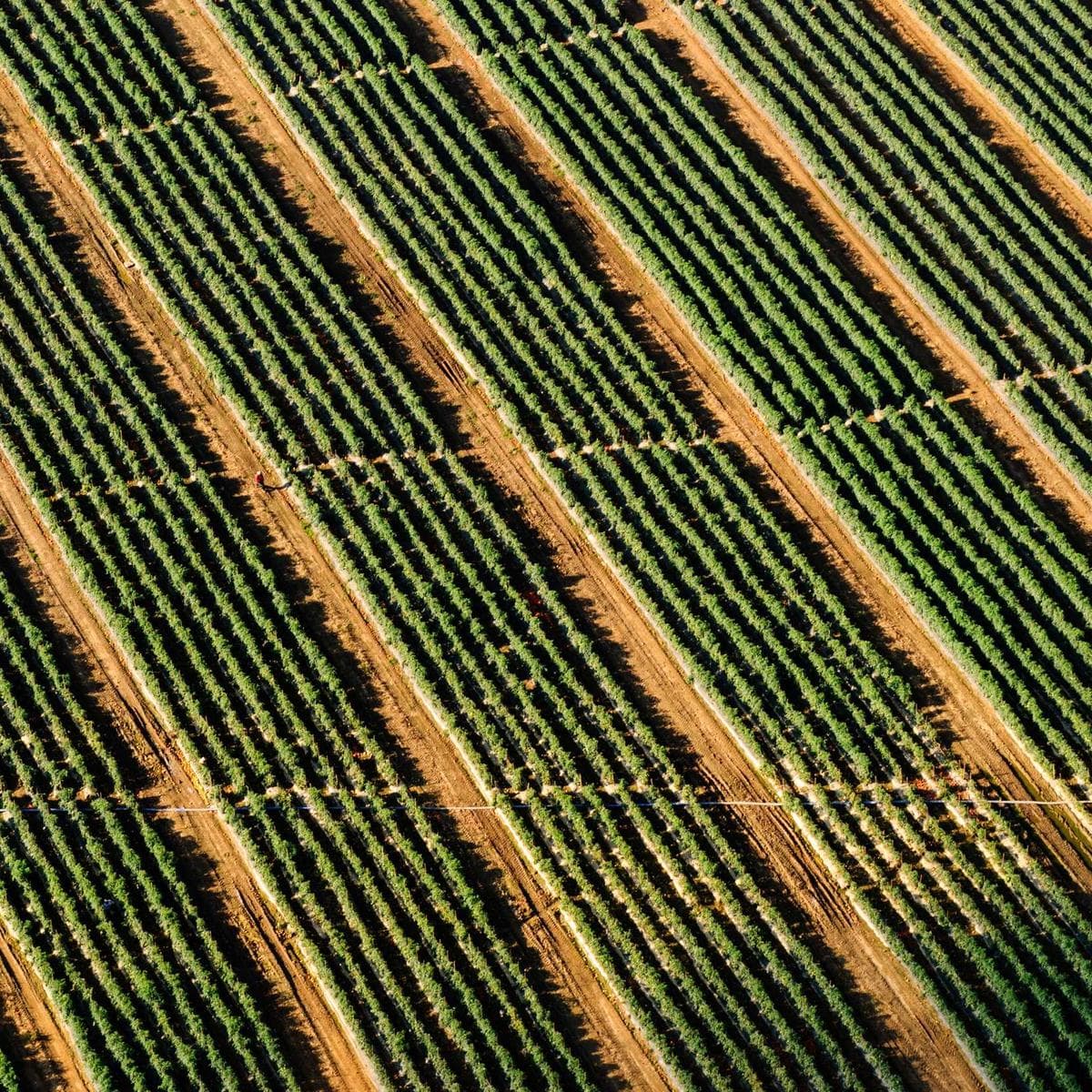 Samsung Galaxy A55 5G — 2