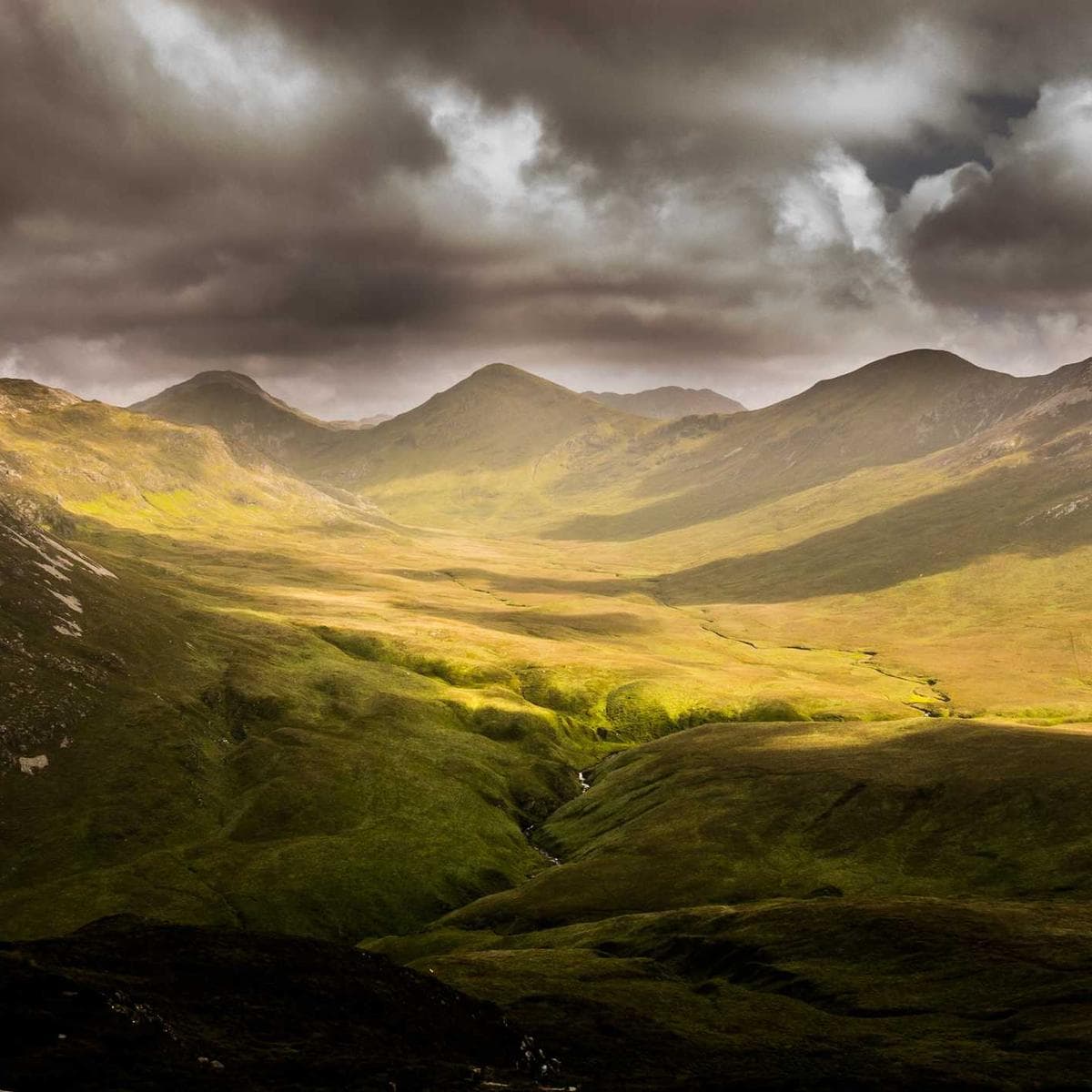 Samsung Galaxy A55 5G — 2