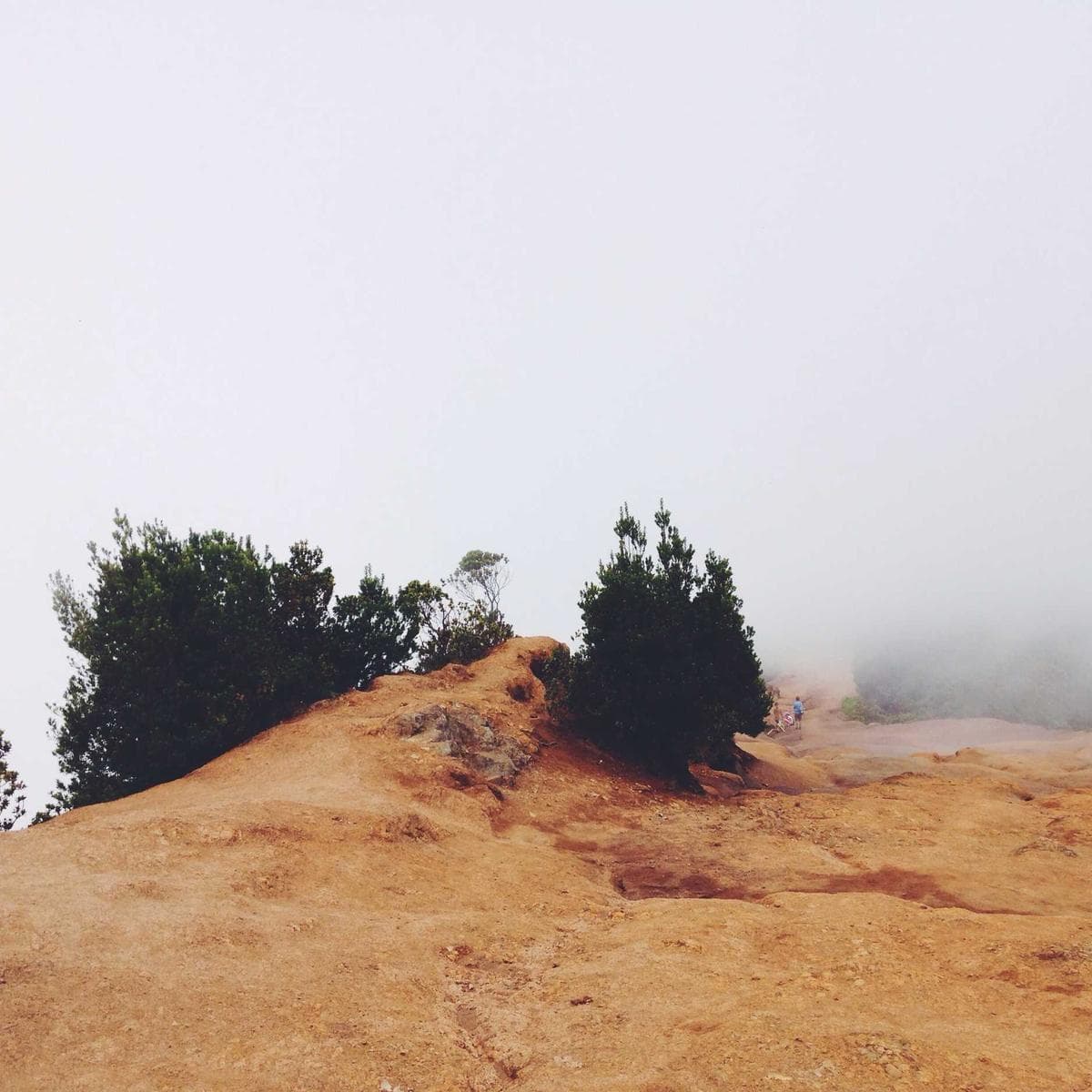 Samsung Galaxy A55 5G — 2