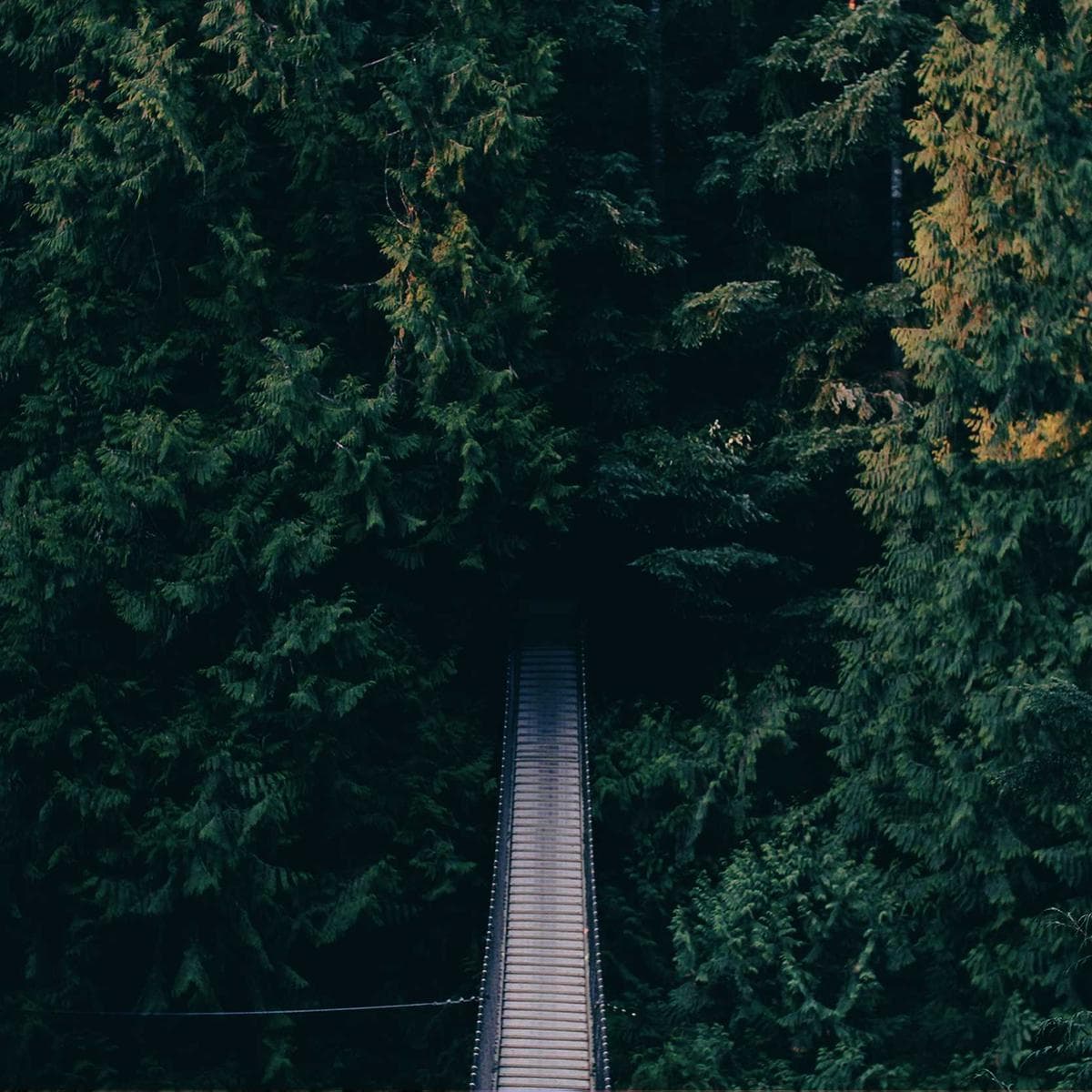 Samsung QLED 4K — 2