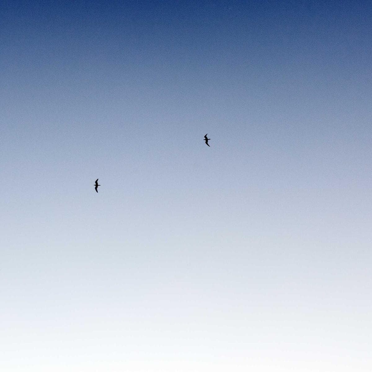 Sony Barra de sonido HT-S40R