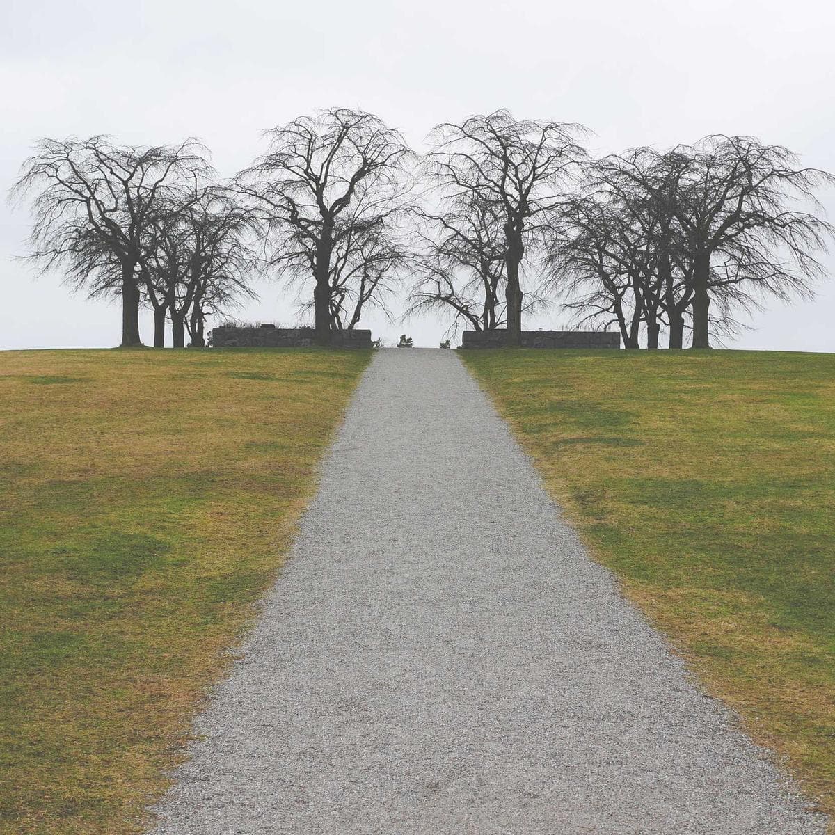 Sony Barra de sonido HT-S40R