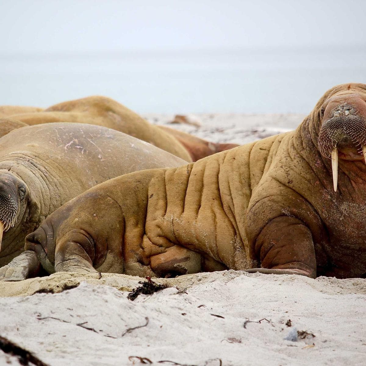 Sony PlayStation 5 Slim — 2