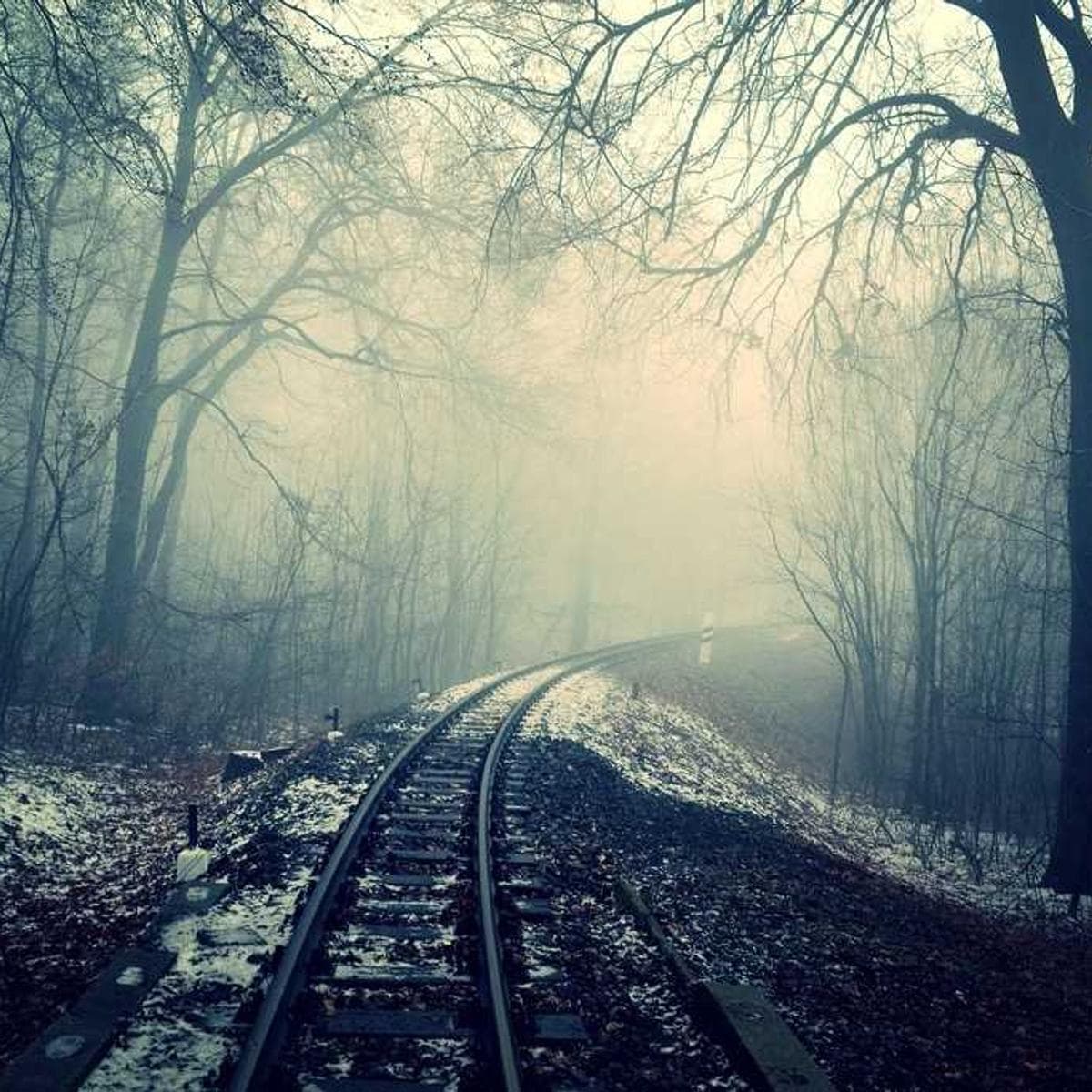 TP-Link Cámara Tapo C220 — 3