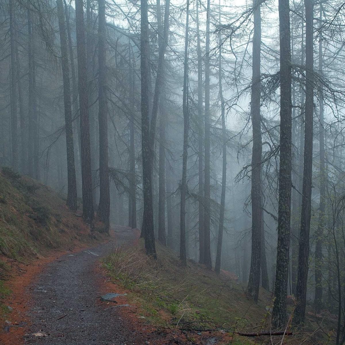 TP-Link Cámara Tapo C220 — 2