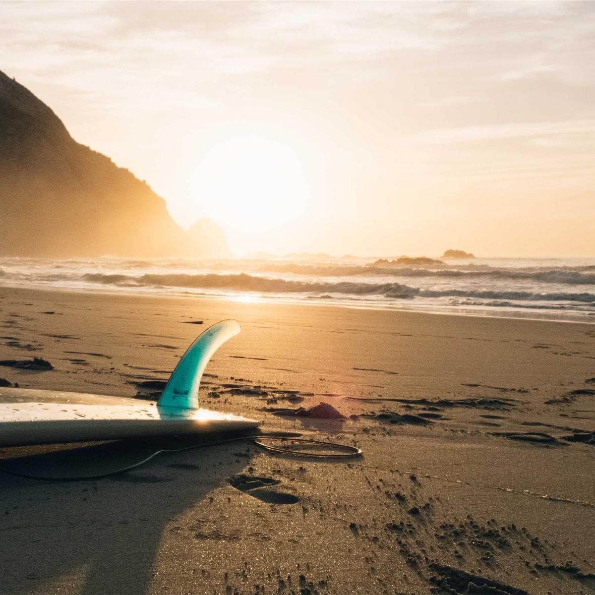 TP-Link Cámara Tapo C220