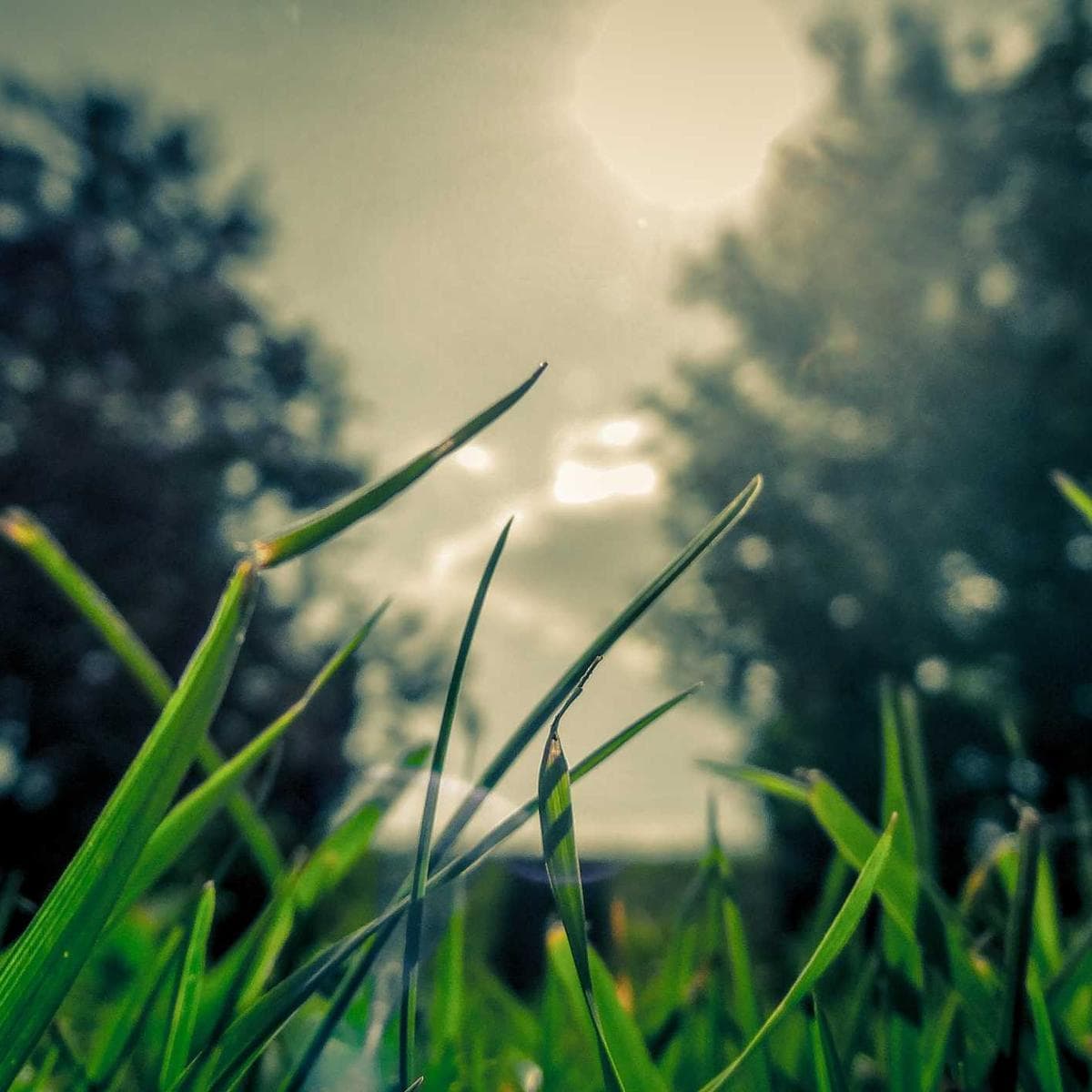 Xiaomi Redmi Note 14 Pro — 2