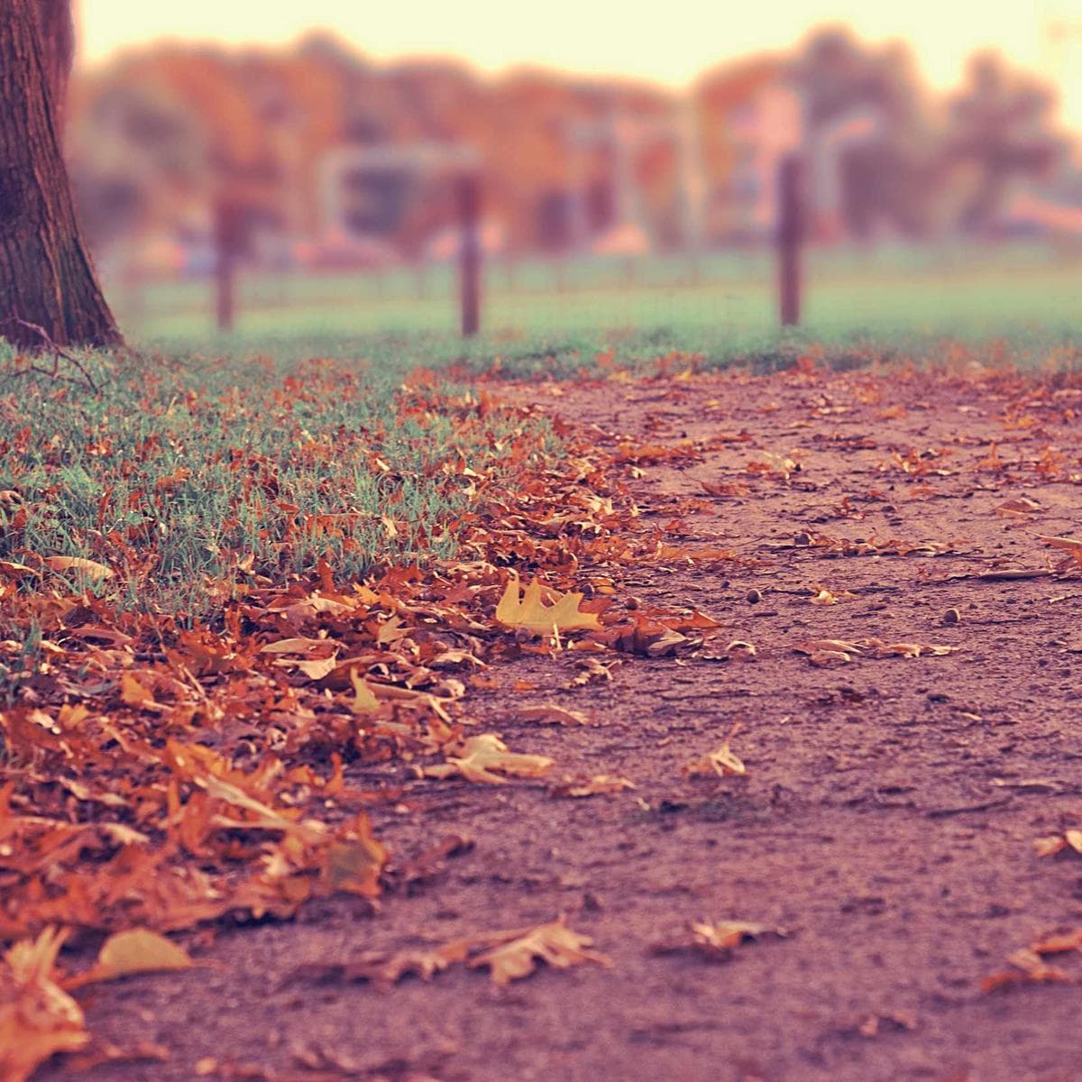 Xiaomi Redmi Note 14 Pro — 2